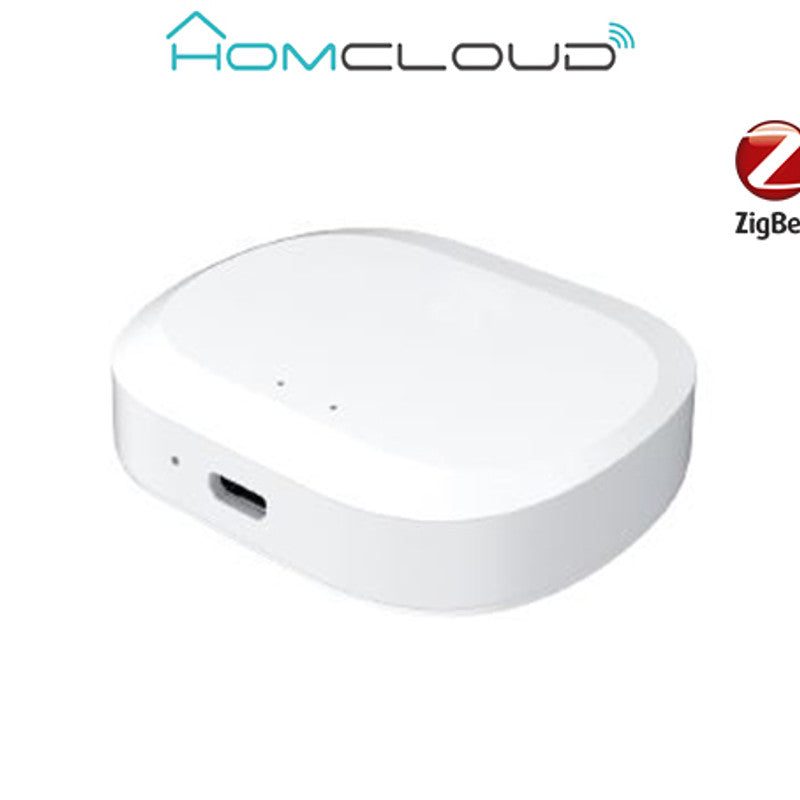 Centralina Intelligente Hub-Steuereinheit – Zigbee+Bluetooth