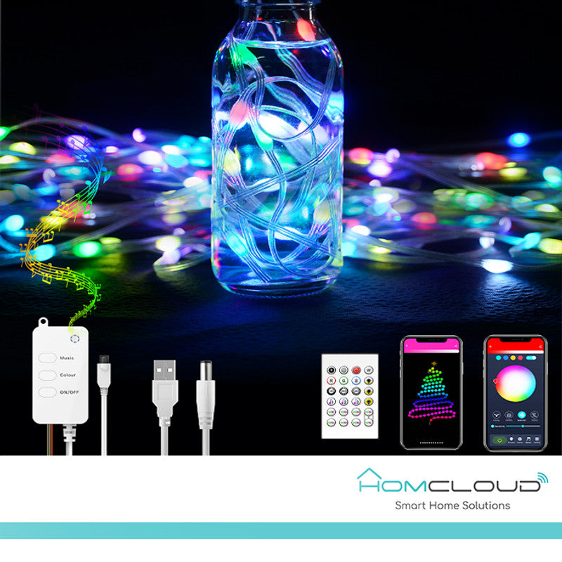 Sma Intelligente dekorative Lichter PVC-Seil RGB-IC OUTDOOR Wi-Fi + Bluetooth 10M IP65