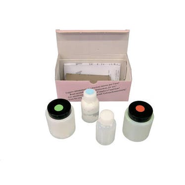 Flaminia Reparaturset für Wannen und Regale aus Pietraluce KIT84