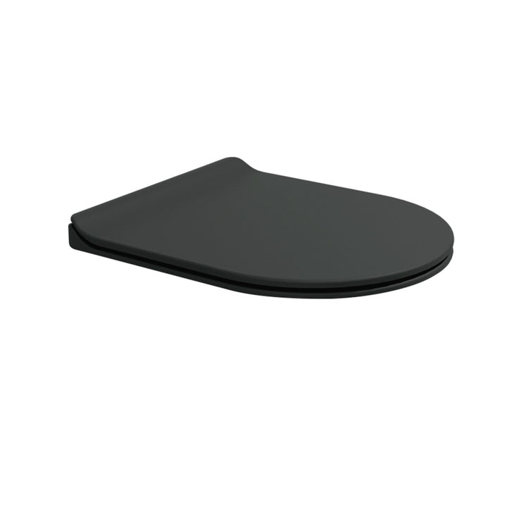 Flaminia Slim-Deckel aus duroplastischem Material, mit gedämpftem Schließen, Schnellverschluss-Scharniere, Kohlefaserfarbe, matte Oberfläche LINK LKCW09CAR