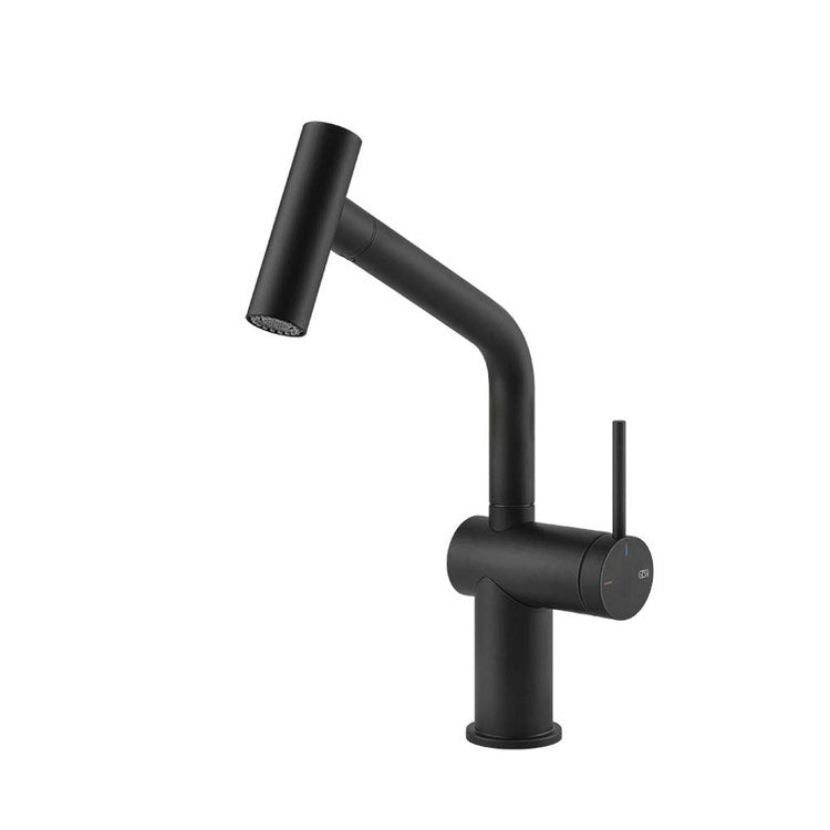 Gessi Einhandmischer schwenkbar, mit Duschbrause Doppelstrahl, für Spüle, Farbe Schwarz matt INEDITO 60425#299