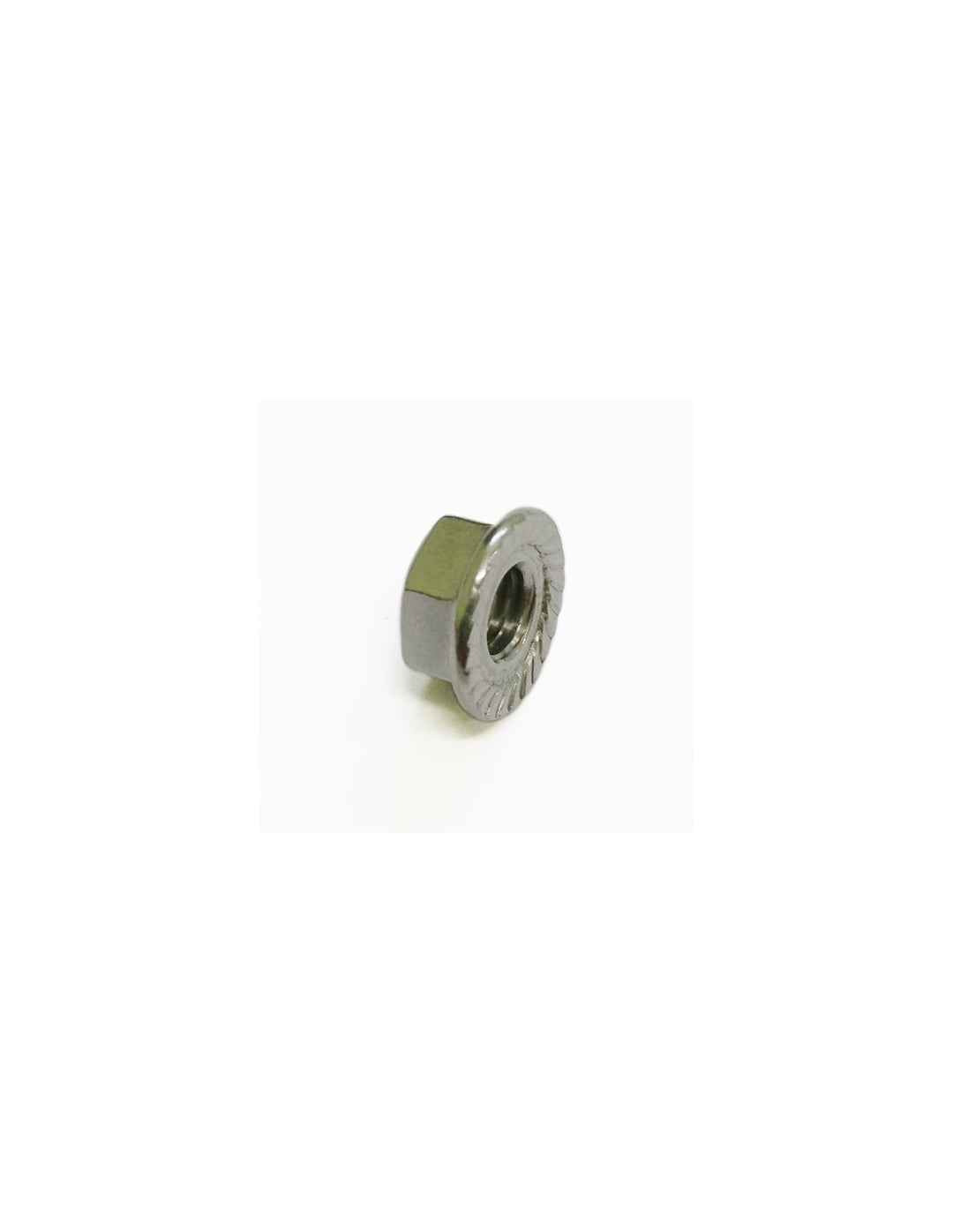 Hexagonal Nut with Flange M10
