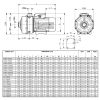LOWARA CA 120/33/D  Horizontale Kreiselpumpen in Blockbauform aus Edelstahl mit Montagefuß -Art. 104490050