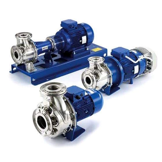 LOWARAESHE 50-160/75/P25VSSA Blockpumpe aus Edelstahl nach EN 733 mit verlängerter Welle -Art.101860450