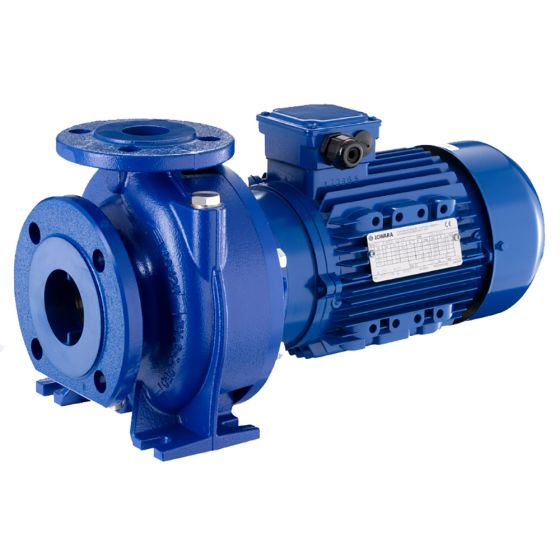LOWARA NSCE 32-160/02/S45RCS4 Kreiselpumpe aus Grauguss nach EN 733 mit verlängerter Welle -Art. 101843050