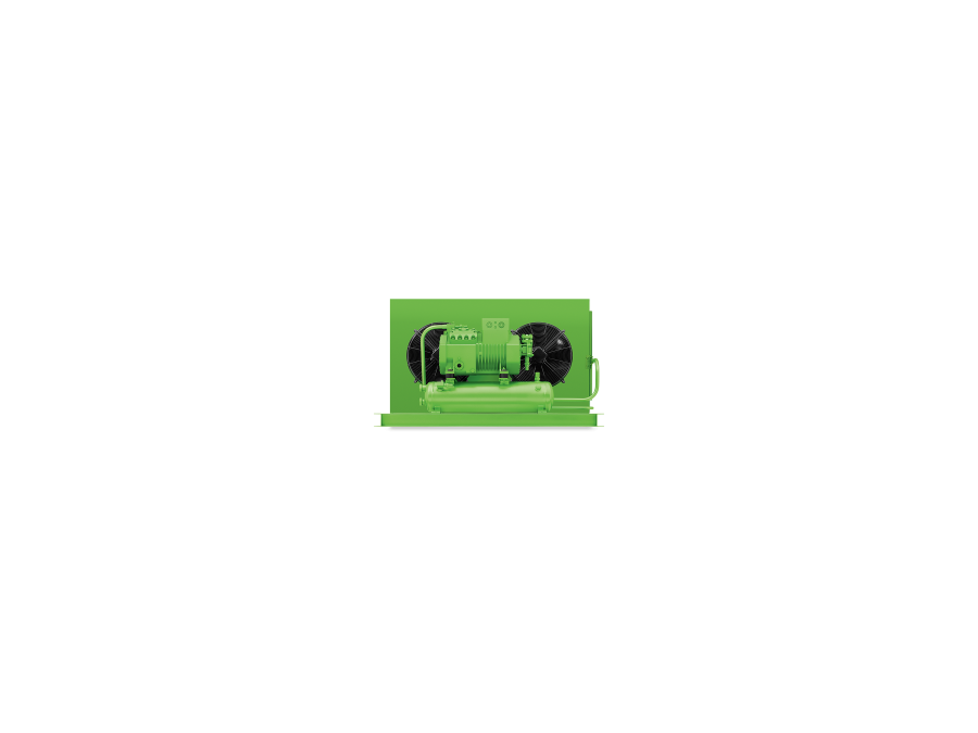 Bitzer LH114E/4CES-9Y/G Verflüssigungssatz
