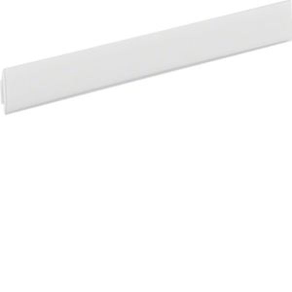 HAGER Bezeichnungsstreifen VZ312BS 12modulig Volta -Art. VZ312BS

