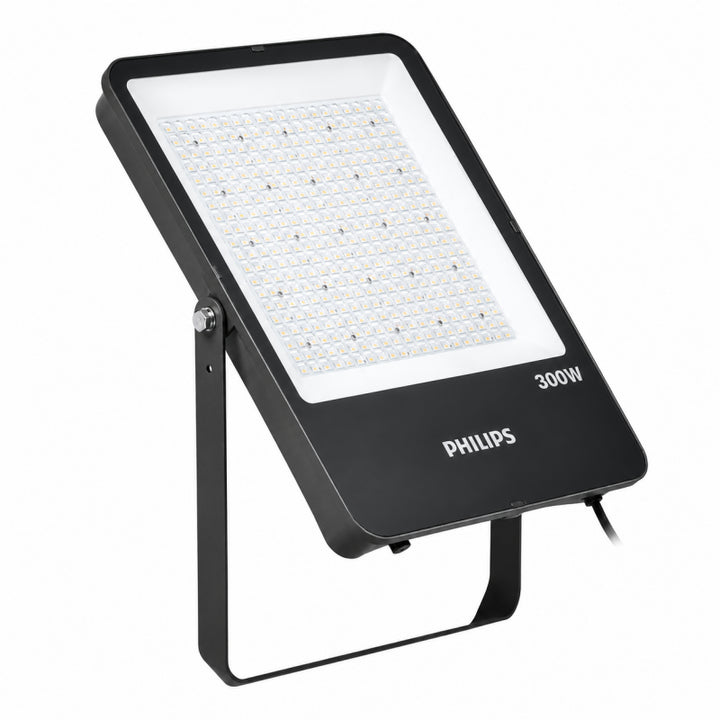 Philips BVP166 LED-Flutlicht 300 W