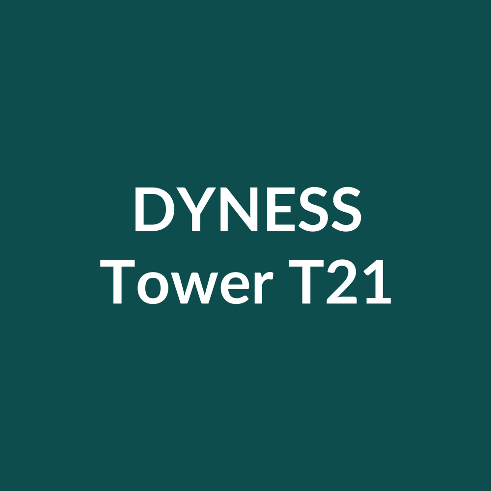 Dyness Tower T21 – Hochvolt-Tower-Speicher 21.31 kWh