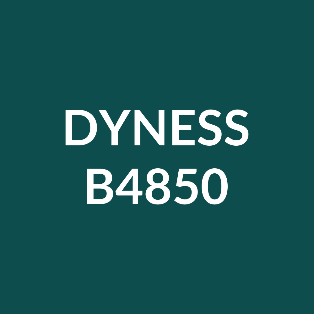 Dyness B4850 – Niedervolt-Batteriemodul (Rack) 2.4 kWh