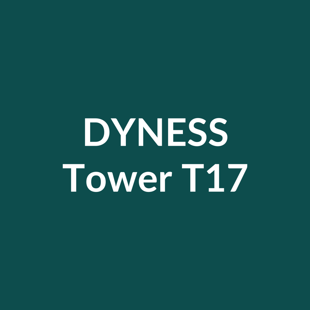 Dyness Tower T17 – Hochvolt-Tower-Speicher 17.76 kWh