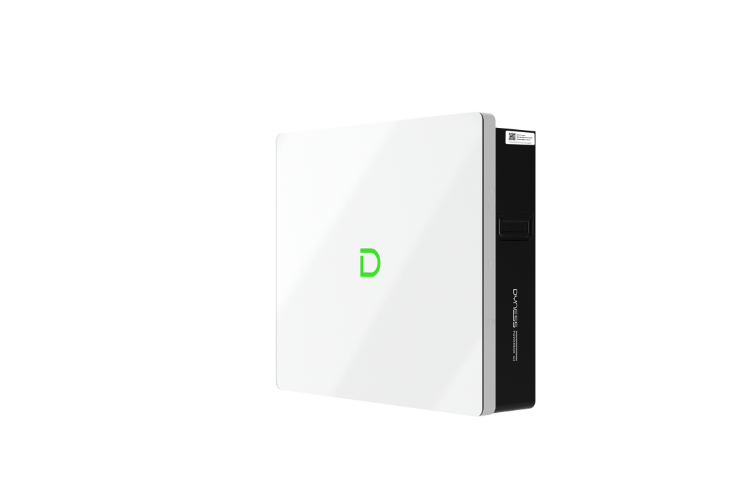 Dyness Powerbox G2