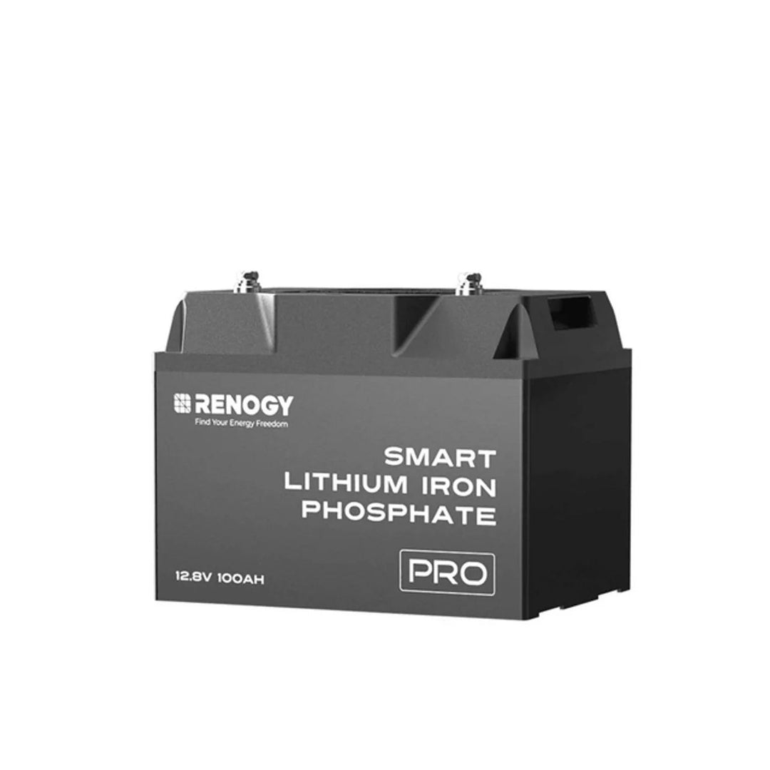 Renogy RBT12100LFP-BT