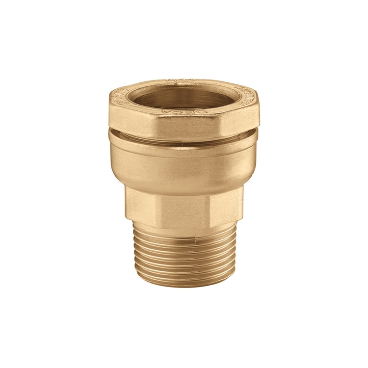 Caleffi Stecker, aus Messing, Anschluss 1" M x Ø 25 861625