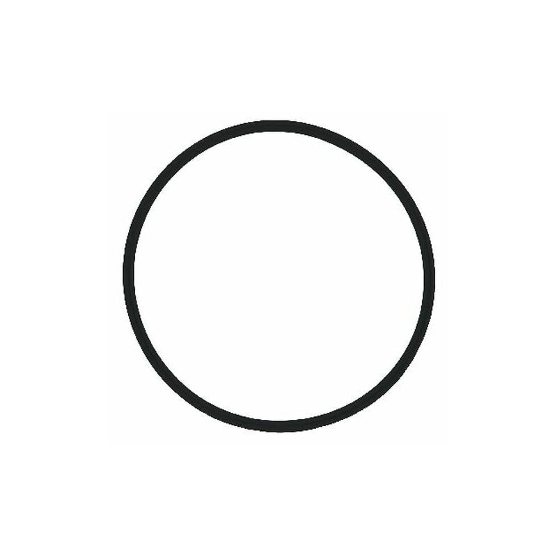 SYR O-Ring Filtertasse