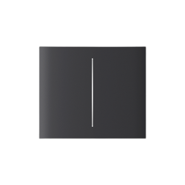 Ajax Systems CenterButton (2-gang) vertikal Lichtschalter 2-fach CenterButton (2-gang) vertical graphite