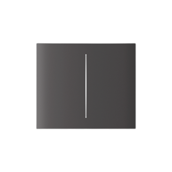 Ajax Systems CenterButton 2-fach vertikaler Lichtschalter – Art.-Nr. 83446