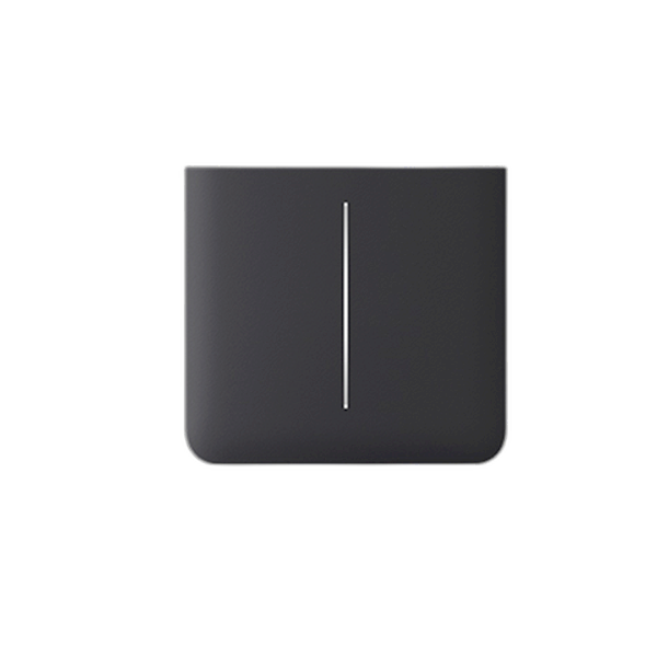 Ajax Systems SideButton 2-fach vertikaler Lichtschalter Graphit
