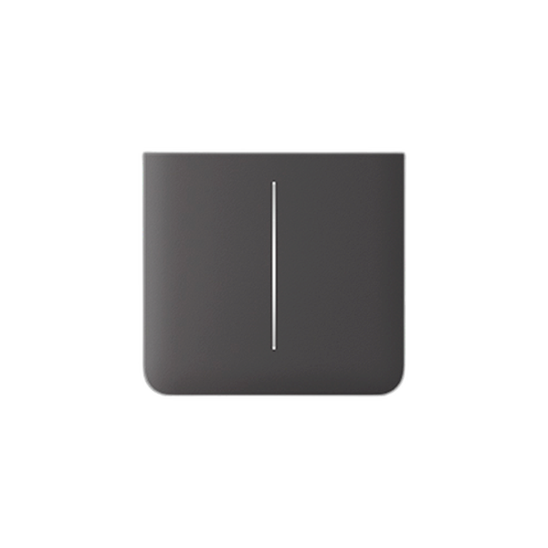 Ajax Systems SideButton 2-fach vertikal grauer Lichtschalter