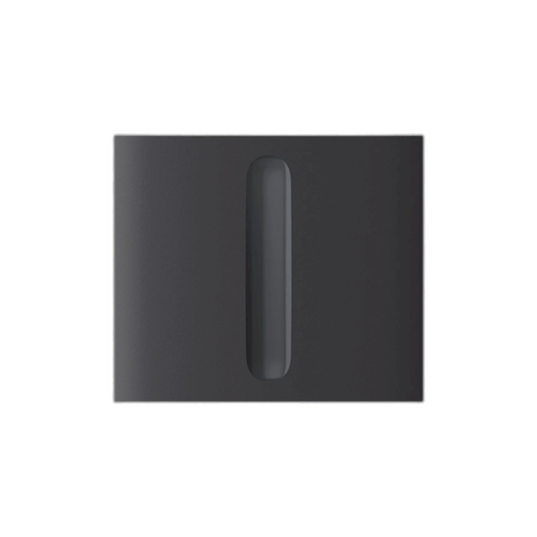 Ajax Systems Ajax CenterButton Dimmer Lichtschalter vertikal Graphit