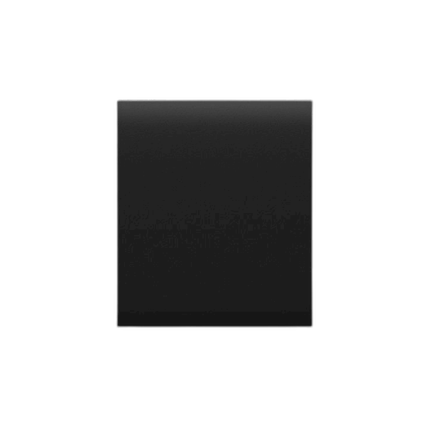 Ajax Systems Ajax CenterCover (CP) Abdeckplatte schwarz