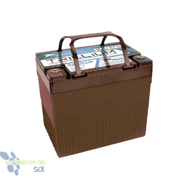 Repowergy Batterie de litio Trojan Trillium. 25.6V - 640Wh | Modelo TR