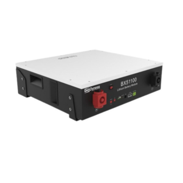Repowergy Dyness BX51100 - Batterie Lithium 48V 5.1kWh