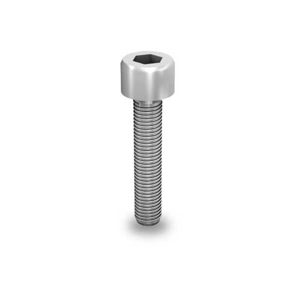 K2 SYSTEMS - Vis à tête cylindrique M8x20 et rondelle intégrée - 2001729