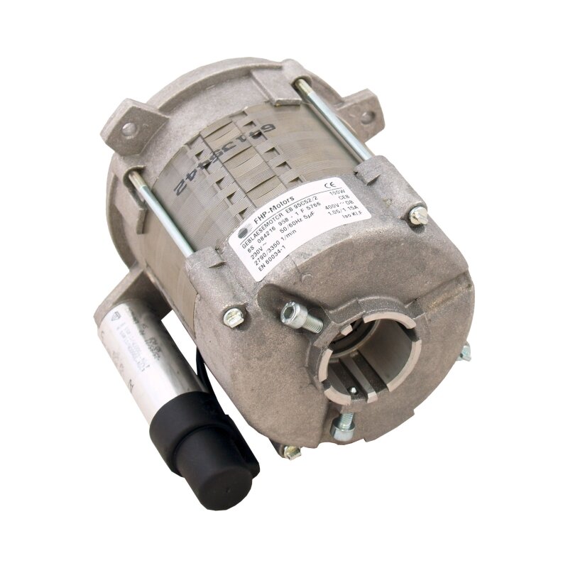 Wolf Elektromotor komplett für Cuenod-Gelbbrenner