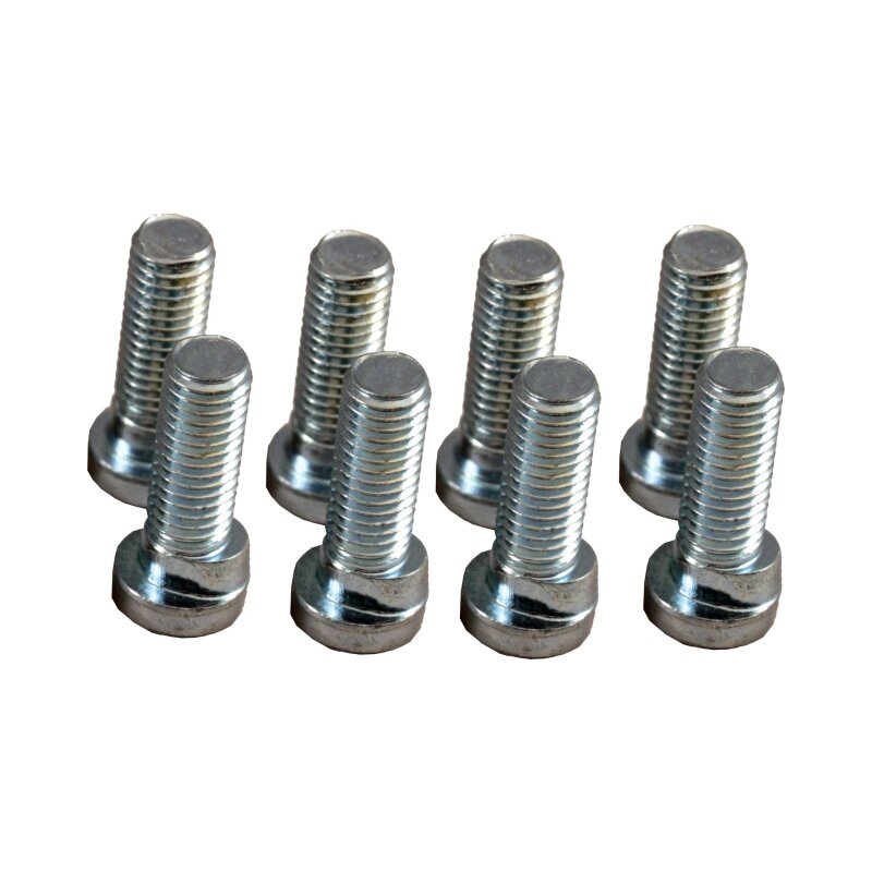 Wolf Schraube verdrehsicher M10x30 für SE