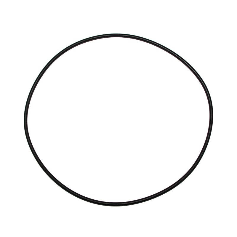 Wolf Dichtung O-Ring 200x4 für MGK-2