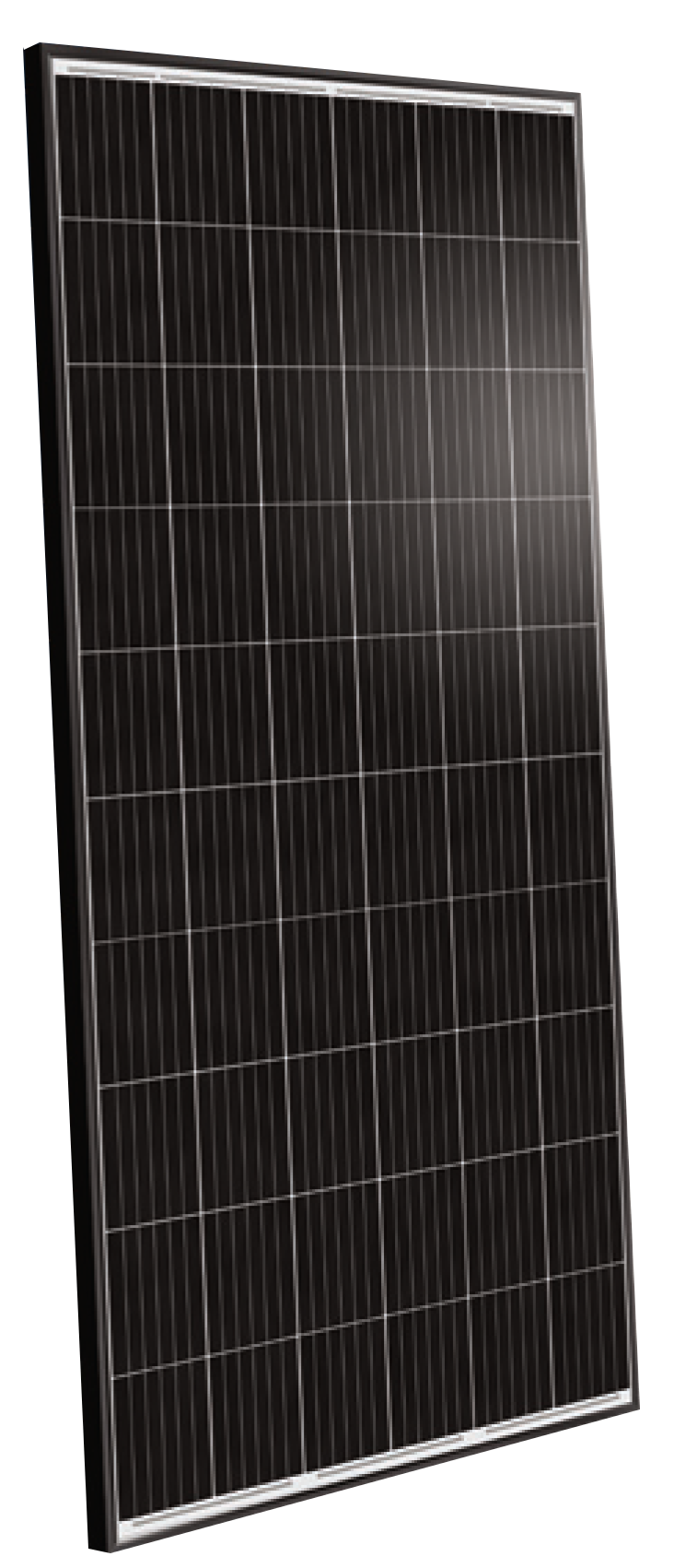 Trienergia Solarmodul COE-xxxM60EL 2020