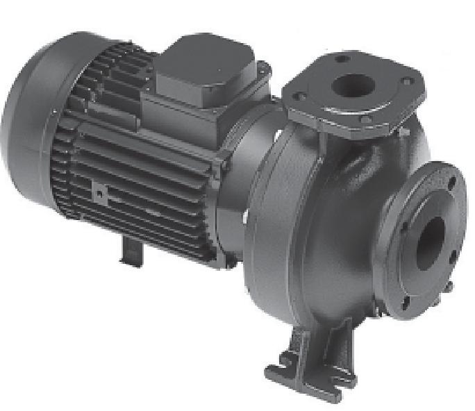 LOWARA Kreiselpumpe FHBE4 65-160/15/P